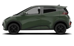 Neuf BYD Dolphin Surf review